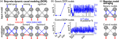 Categorizing human vocal signals depends on an integrated auditory-frontal cortical network