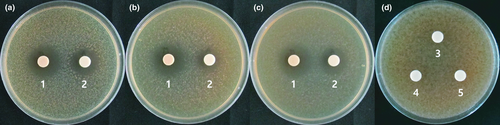 Details are in the caption following the image