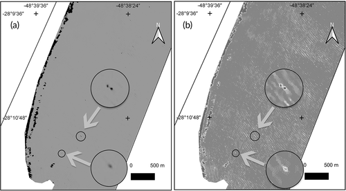 Details are in the caption following the image Details are in the caption following the image