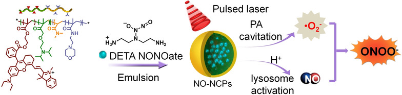 Photoacoustic Cavitation-Ignited Reactive Oxygen Species to Amplify Peroxynitrite Burst by Photosensitization-Free Polymeric Nanocapsules
