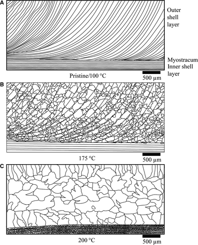 Details are in the caption following the image