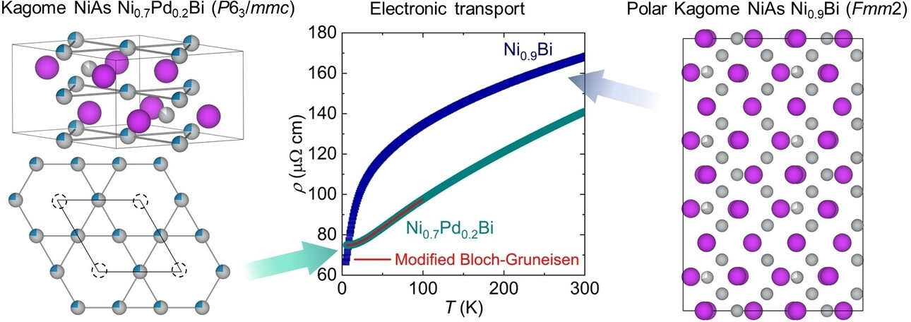 Control of Polarity in Kagome-NiAs Bismuthides