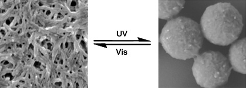 Smart Self-Assemblies Based on a Surfactant-Encapsulated Photoresponsive Polyoxometalate Complex