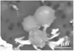 aesr202100074-gra-0018