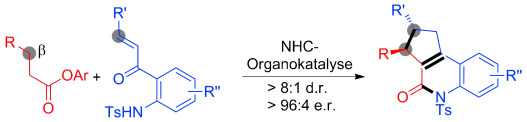 Access to Oxoquinoline Heterocycles by N-Heterocyclic Carbene Catalyzed Ester Activation for Selective Reaction with an Enone