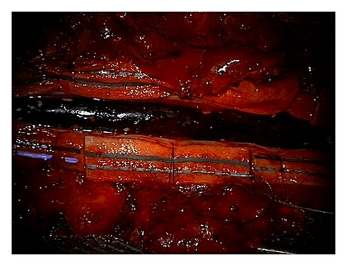 Details are in the caption following the image Details are in the caption following the image