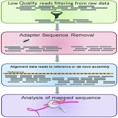 Noncoding RNA: Current Deep Sequencing Data Analysis Approaches and Challenges
