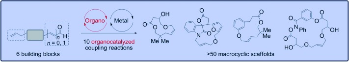 Diversity-Oriented Synthesis of Drug-Like Macrocyclic Scaffolds Using an Orthogonal Organo- and Metal Catalysis Strategy