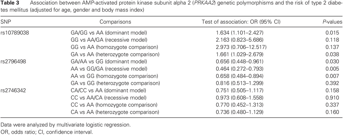 Effect of AMP-activated protein kinase subunit alpha 2 (PRKAA2) genetic polymorphisms on susceptibility to type 2 diabetes mellitus and diabetic nephropathy in a Chinese population
