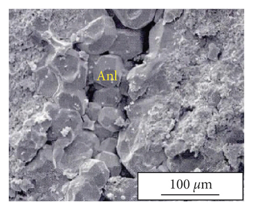 Details are in the caption following the image