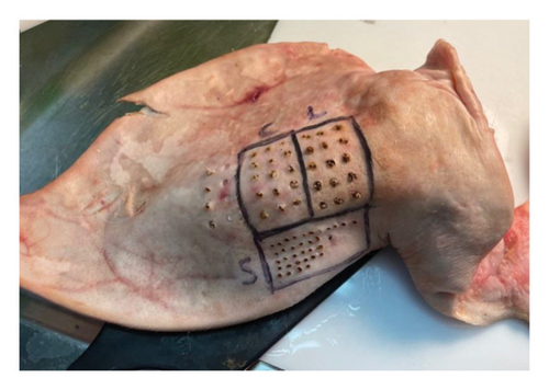 Details are in the caption following the image Details are in the caption following the image
