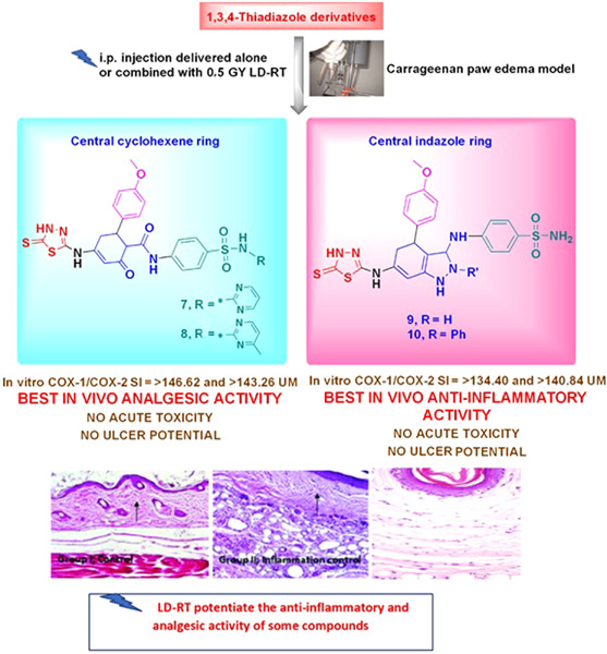 Anti-inflammatory and analgesic effect of LD-RT and some novel thiadiazole derivatives through COX-2 inhibition
