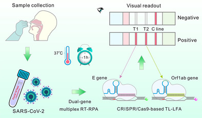 Simultaneous Dual-Gene Diagnosis of SARS-CoV-2 Based on CRISPR/Cas9-Mediated Lateral Flow Assay