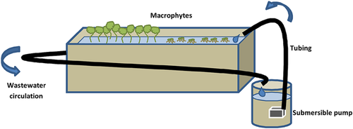 Details are in the caption following the image
