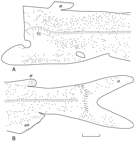 Details are in the caption following the image