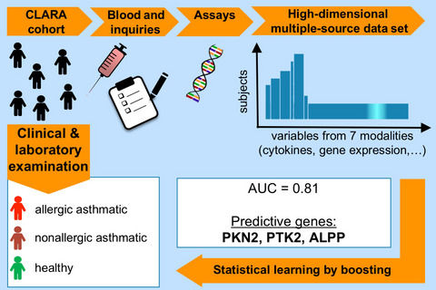 A strategy for high-dimensional multivariable analysis classifies childhood asthma phenotypes from genetic, immunological, and environmental factors