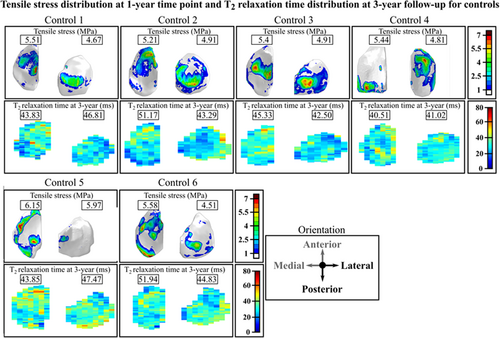 Details are in the caption following the image Details are in the caption following the image