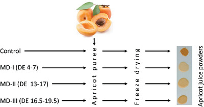β-Carotene Stability and Some Physicochemical Properties of Apricot Juice Powders Obtained by Using Maltodextrins with Different Dextrose Equivalents