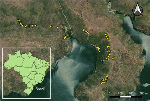 Details are in the caption following the image Details are in the caption following the image