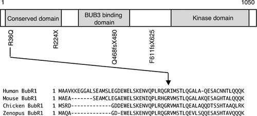 Details are in the caption following the image