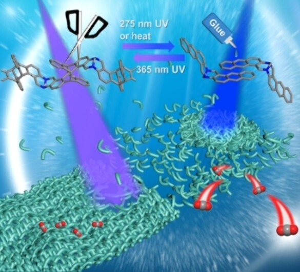 Detachable Porous Organic Polymers Responsive to Light and Heat