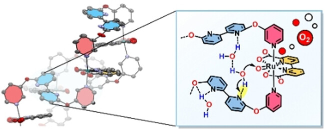 Folding-Induced Promotion of Proton-Coupled Electron Transfers via Proximal Base for Light-Driven Water Oxidation