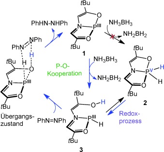 Catalytic Transfer Hydrogenation by a Trivalent Phosphorus Compound: Phosphorus-Ligand Cooperation Pathway or PIII/PV Redox Pathway?
