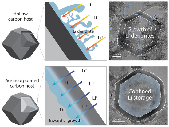 Driving inward growth of lithium metal in hollow microcapsule hosts by heteroatom-controlled nucleation