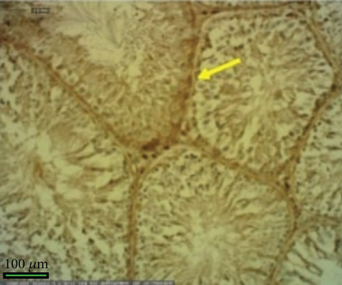 Details are in the caption following the image