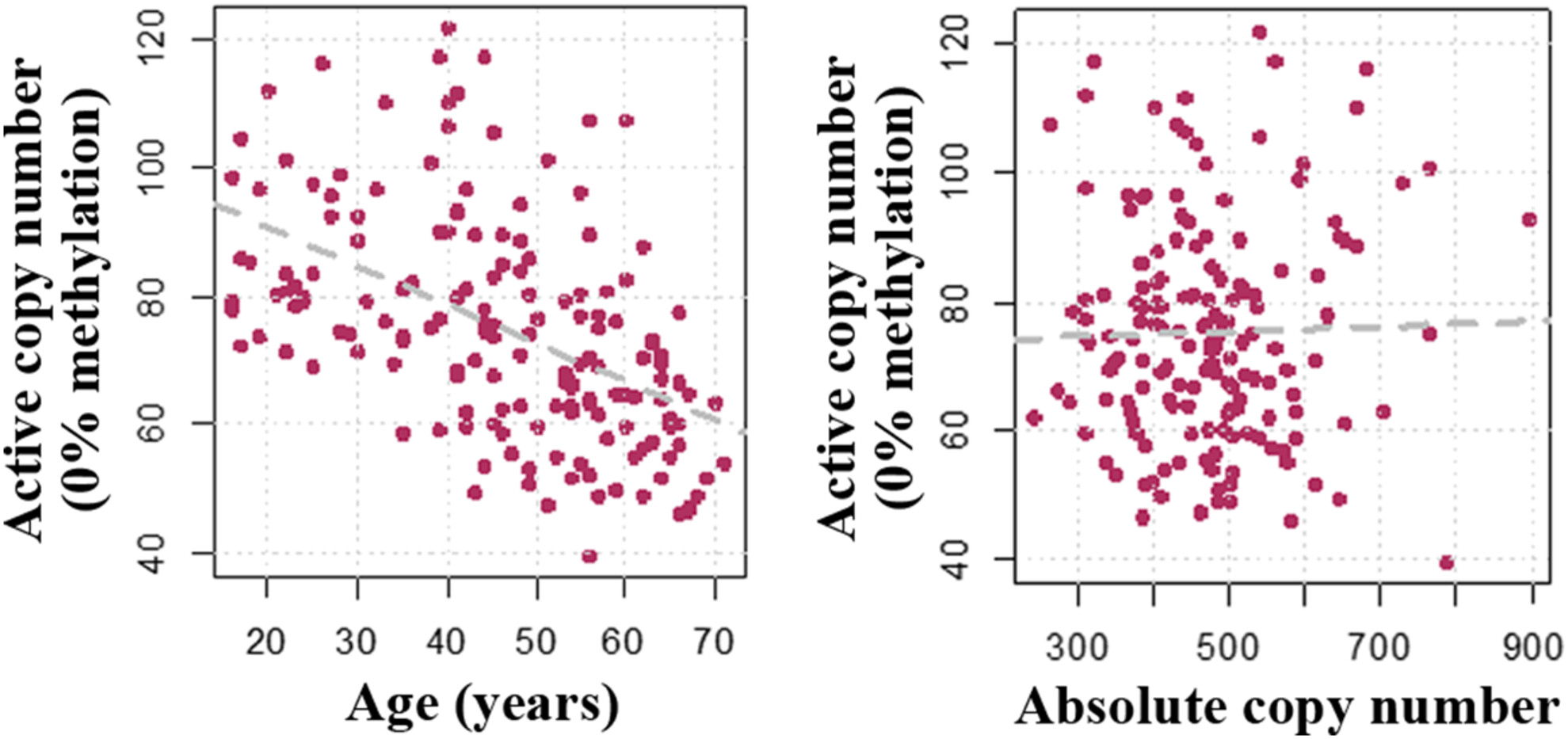 rDNA Copy Number Variation and Methylation During Normal and Premature Aging