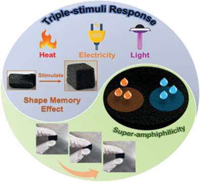 Triple Stimuli-Responsive Flexible Shape Memory Foams with Super-Amphiphilicity
