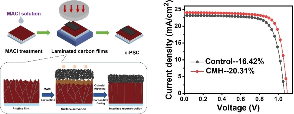 Achieving over 20 % Efficiency in Laminated HTM-Free Carbon Electrode Perovskite Solar Cells through In Situ Interface Reconstruction