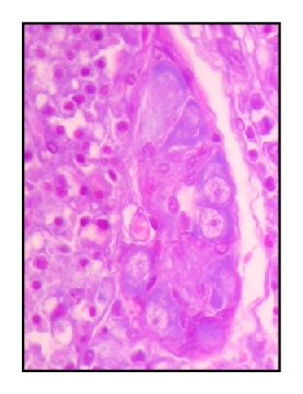 Details are in the caption following the image