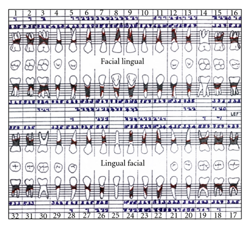 Details are in the caption following the image Details are in the caption following the image