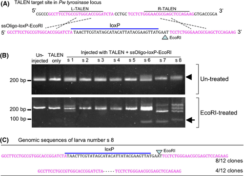 Details are in the caption following the image Details are in the caption following the image