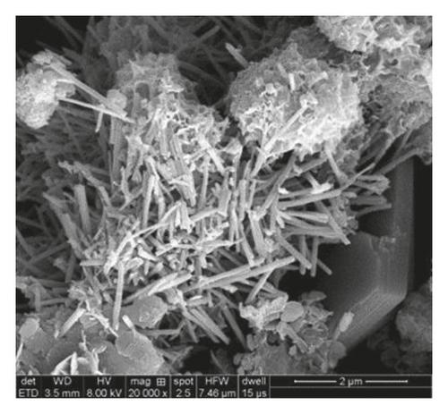 Details are in the caption following the image