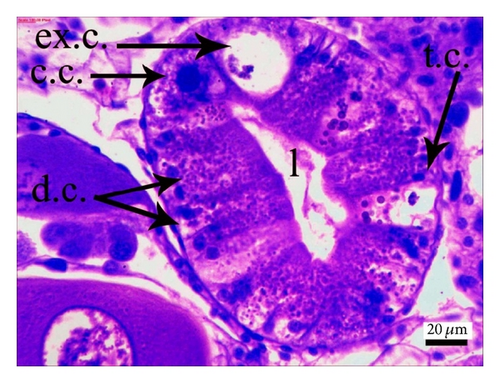 Details are in the caption following the image