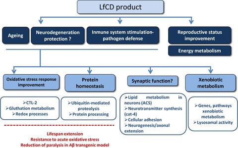 A nutritional supplement containing lactoferrin stimulates the immune system, extends lifespan, and reduces amyloid β peptide toxicity in Caenorhabditis elegans