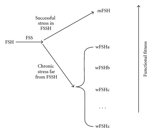 Details are in the caption following the image