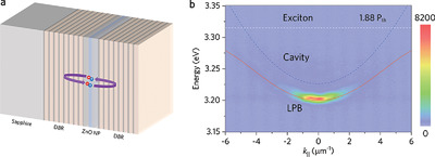 Robust Polariton Bose–Einstein Condensation Laser via a Strong Coupling Microcavity