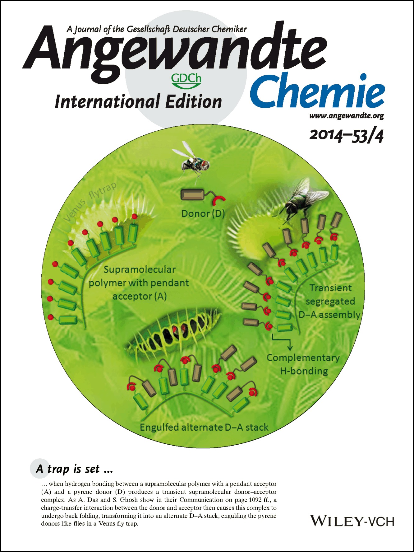 Inside Cover: Stimuli-Responsive Self-Assembly of a Naphthalene Diimide by Orthogonal Hydrogen Bonding and Its Coassembly with a Pyrene Derivative by a Pseudo-Intramolecular Charge-Transfer Interaction (Angew. Chem. Int. Ed. 4/2014)