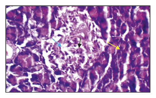 Details are in the caption following the image