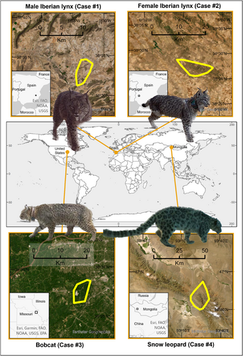 Details are in the caption following the image Details are in the caption following the image