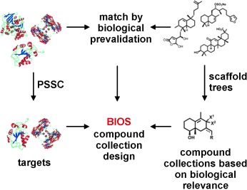 Biology-Oriented Synthesis