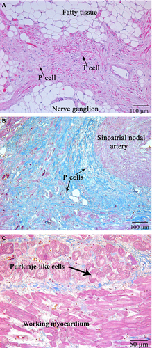 Details are in the caption following the image