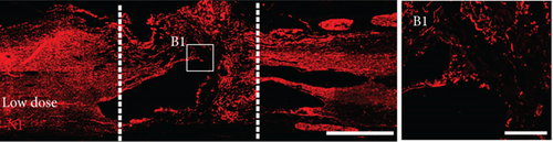 Details are in the caption following the image