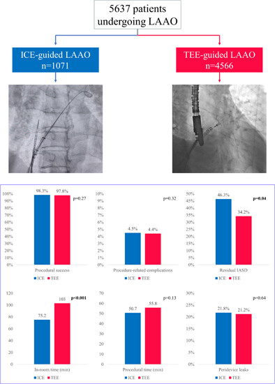 Impact of intracardiac echocardiography versus transesophageal echocardiography guidance on left atrial appendage occlusion procedures: A meta-analysis