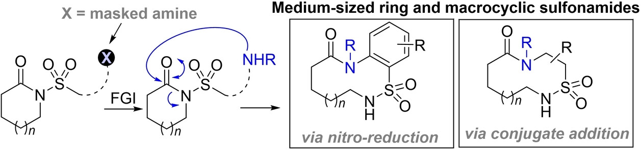 Ring Expansion Strategies for the Synthesis of Medium Sized Ring and Macrocyclic Sulfonamides
