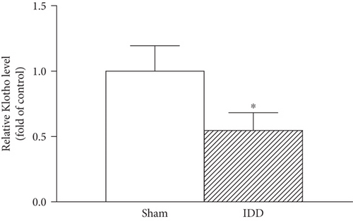 Details are in the caption following the image