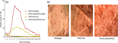 Details are in the caption following the image Details are in the caption following the image
